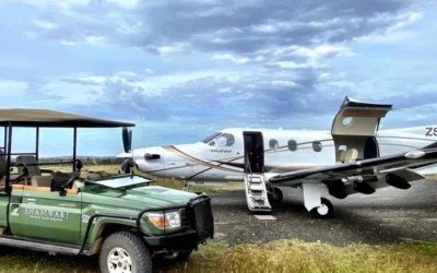 Private Charter Flights in South Africa: A Better Way to Travel